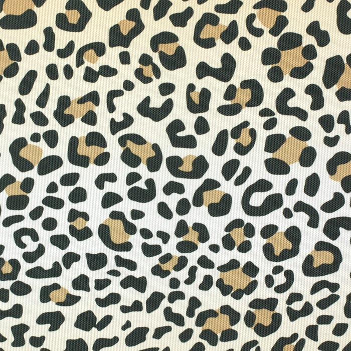 Leopard 24